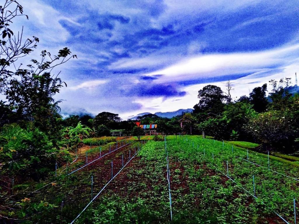 Nai Khun Khao Resort Chiang Mai Exterior foto