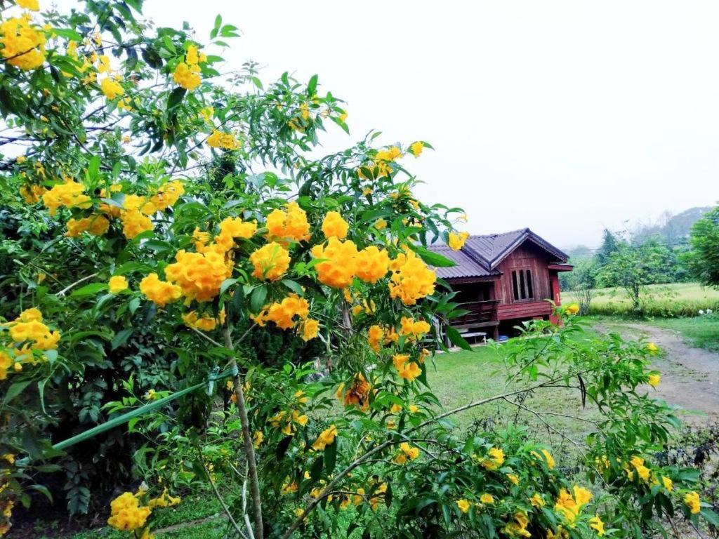 Nai Khun Khao Resort Chiang Mai Exterior foto